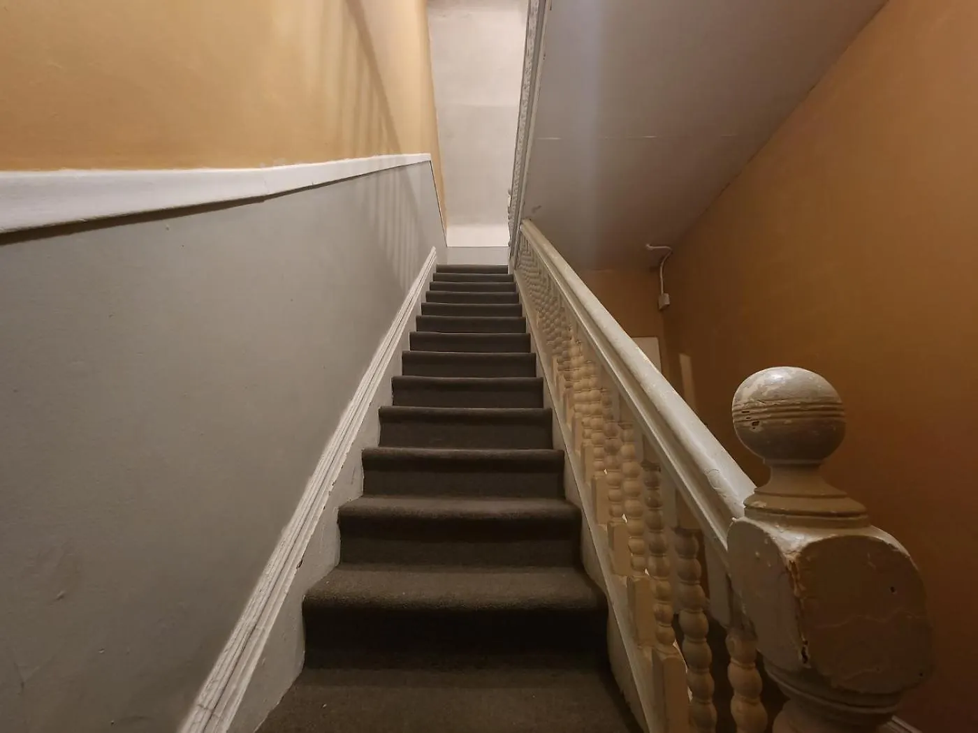 Downtown Guesthouse Торонто 0*,  Канада