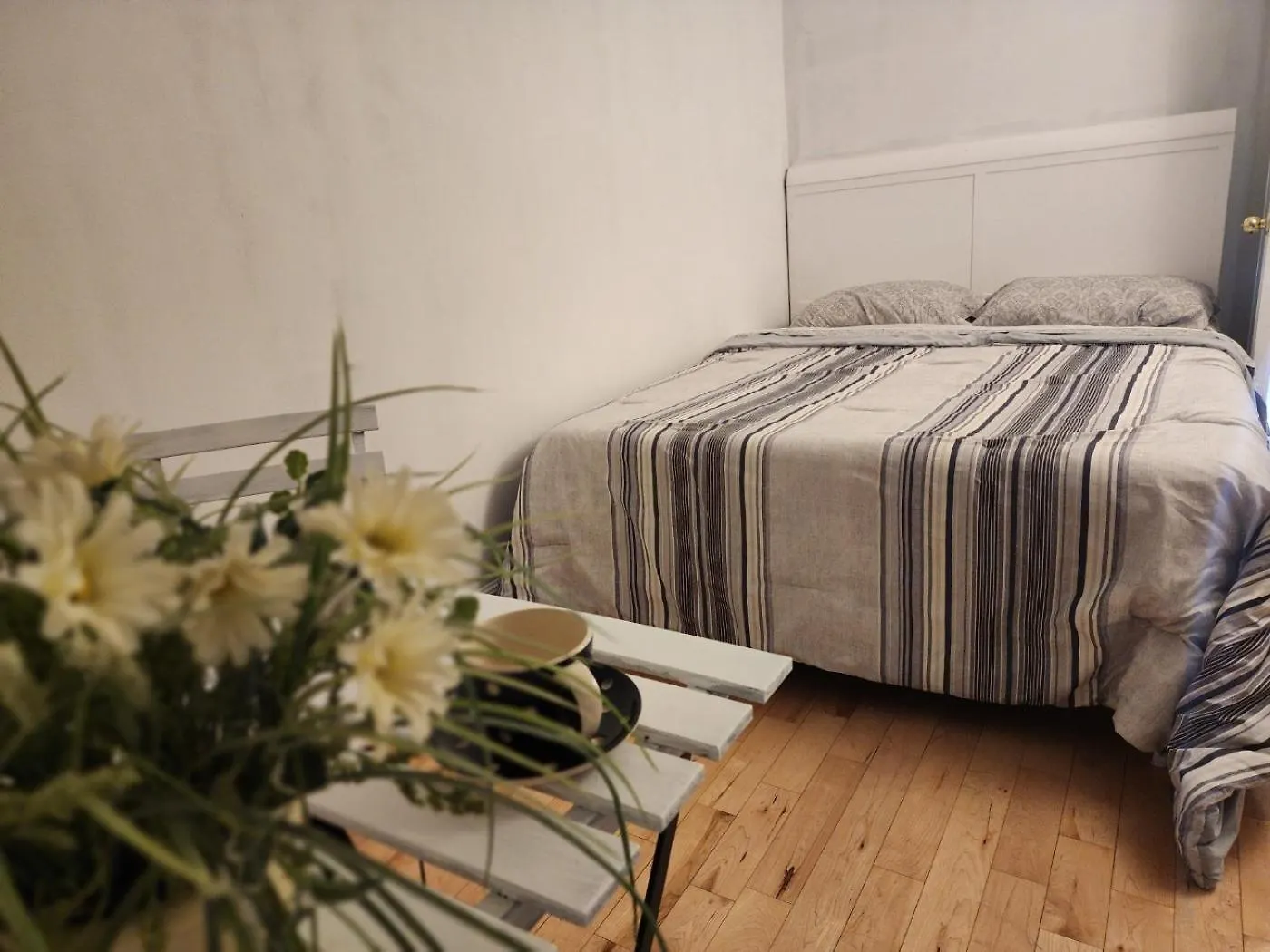 Гостевой дом Downtown Guesthouse Торонто